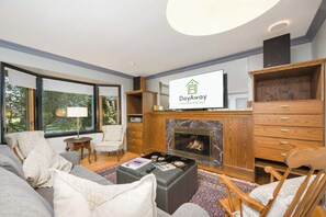 TV, fireplace, stereo, offices - Yoga Retreat | Xcel | Fairgrounds | St. Paul, MN (Saint Paul)