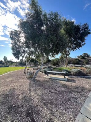 Terrain de l’hébergement 