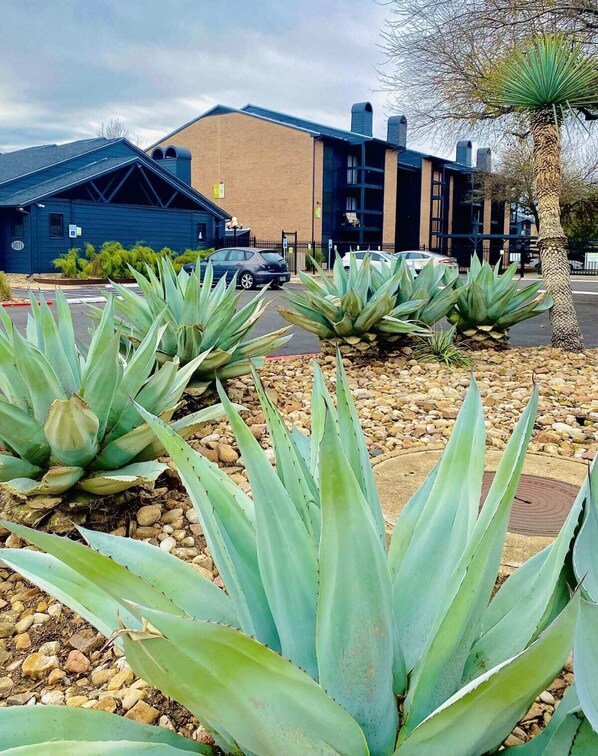 Jardines del alojamiento