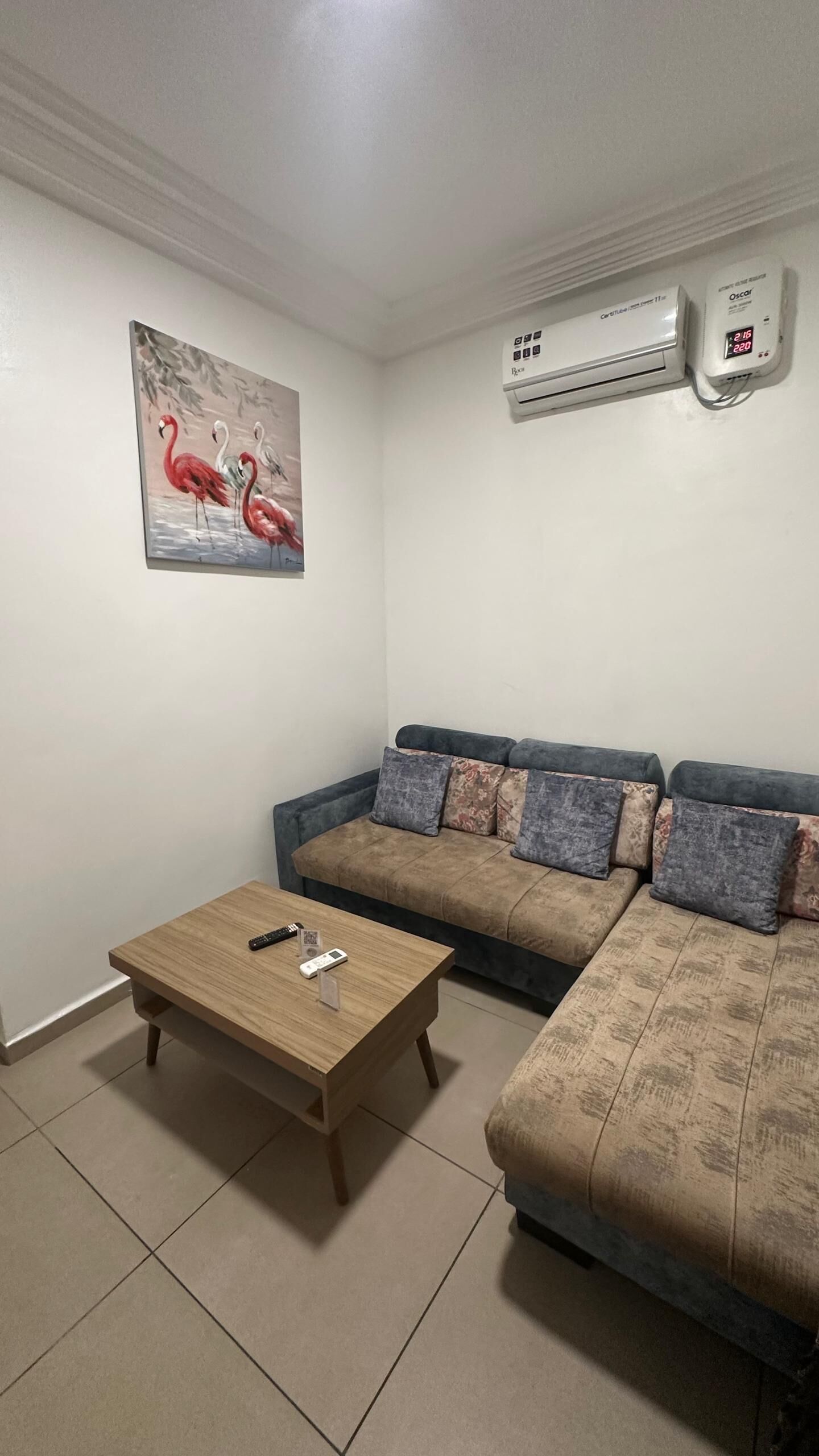 A living room with a sofa, a coffee table, an air conditioner, and a painting of flamingos.