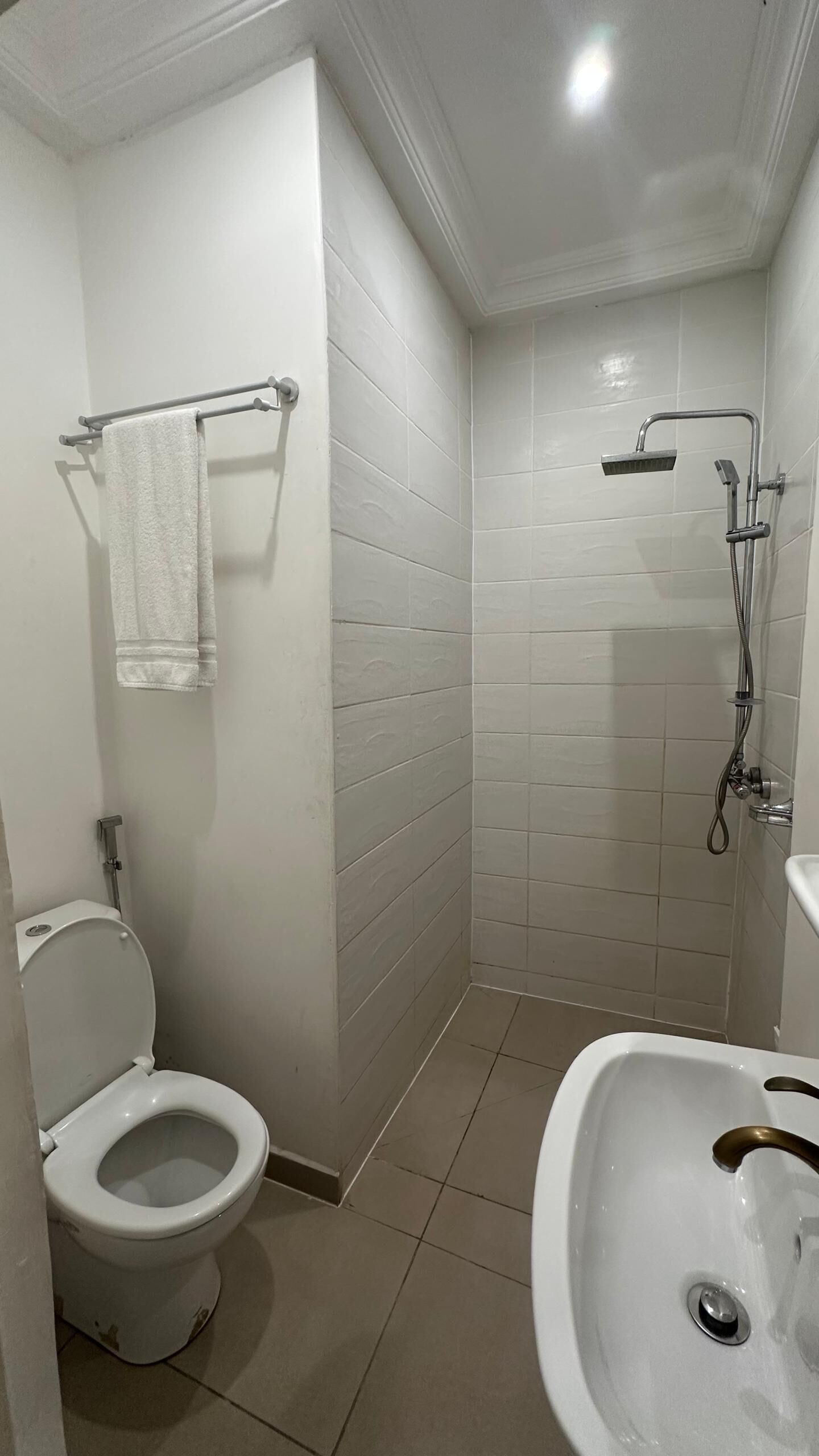 A bathroom with a toilet, a sink, and a shower.