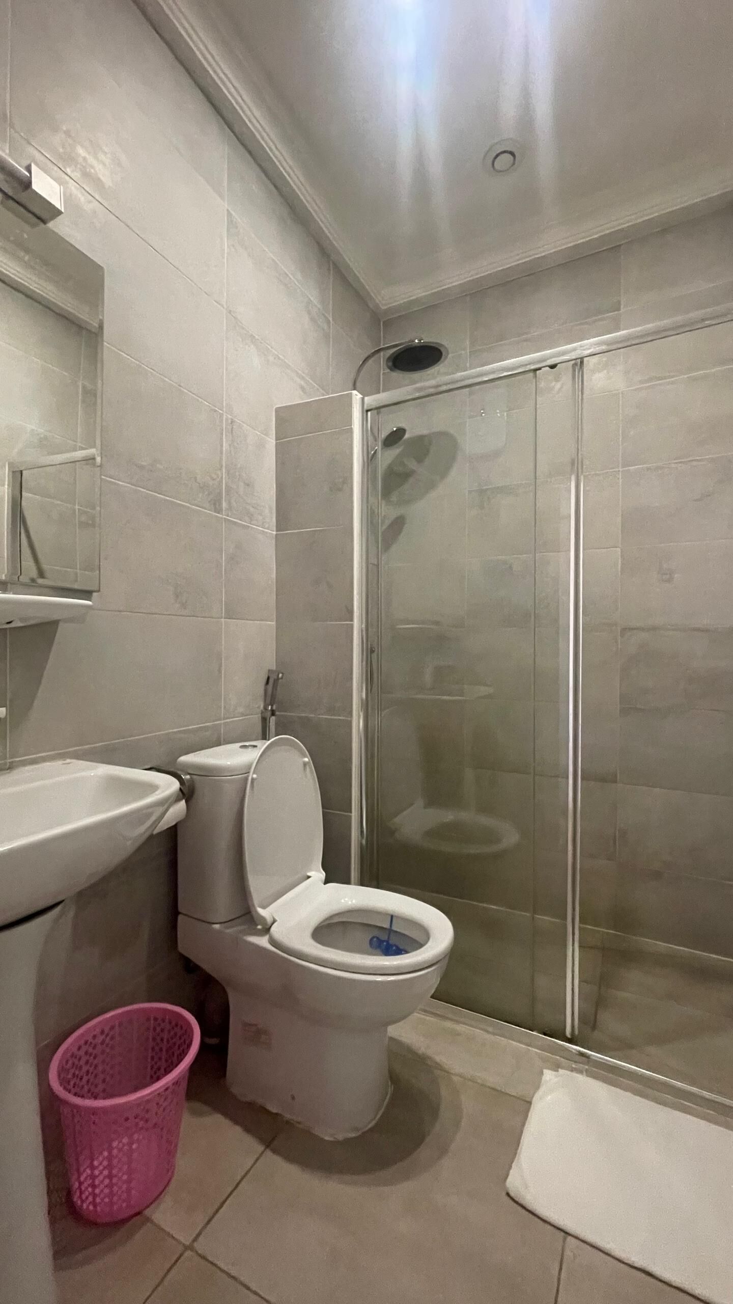 A bathroom with a toilet, sink, and glass-enclosed shower stall.
