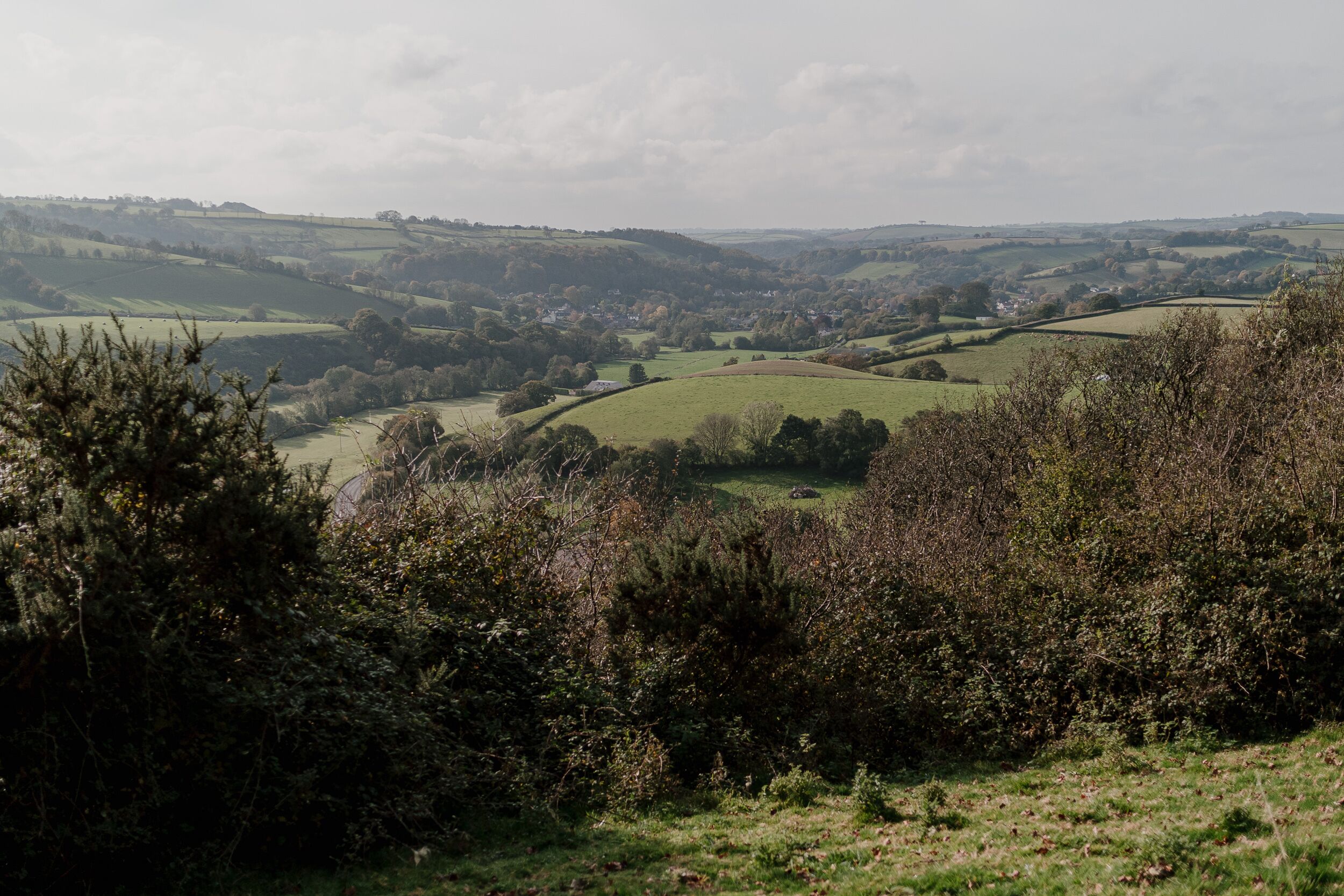 A rural landscape with rolling hills and scattered trees.