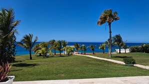 A coastal view with a pathway leading to a building, surrounded by palm trees and a clear blue sky.