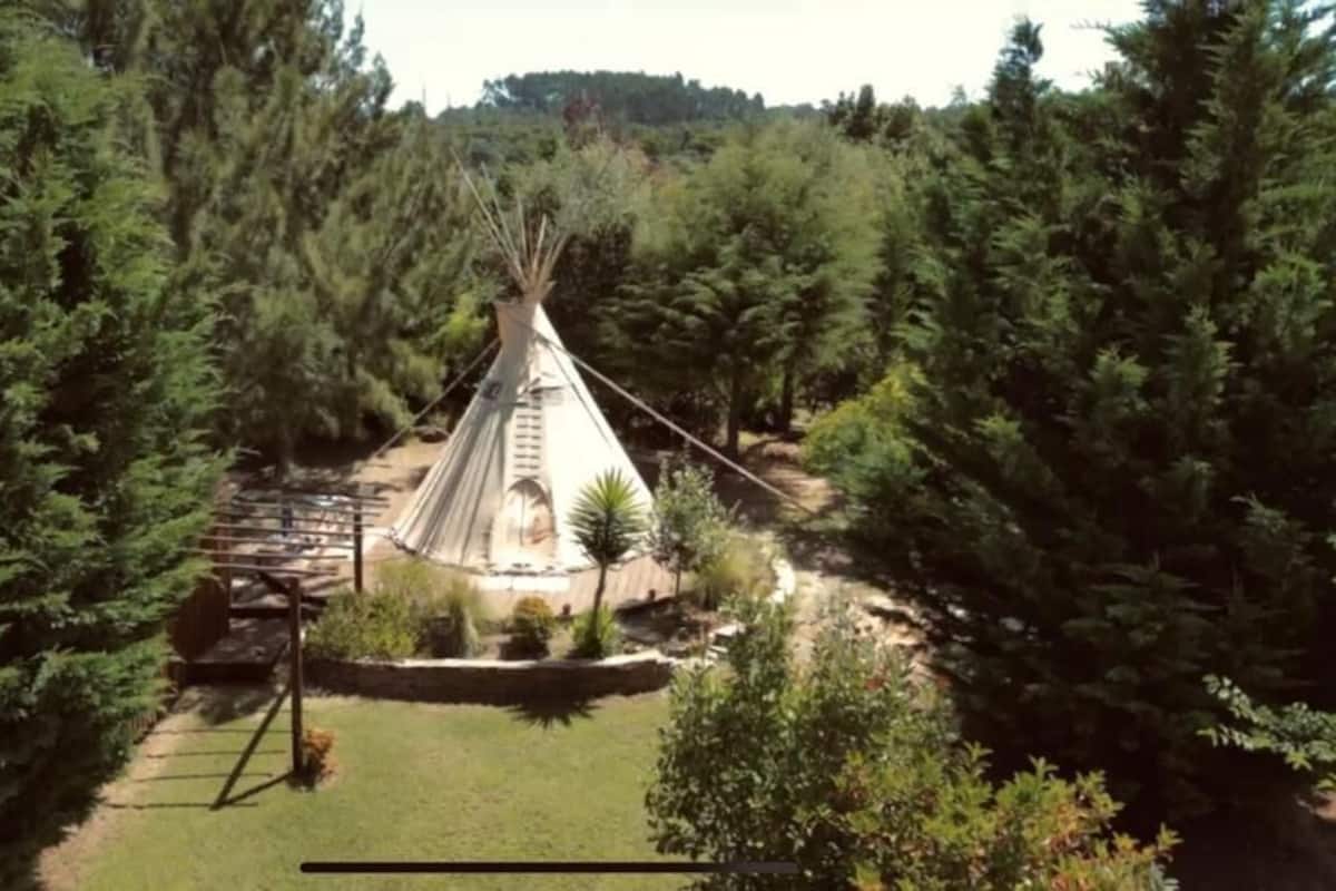 Ein Tipi, umgeben von dichtem Wald.