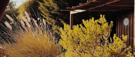 Tent, Garden View | View from room