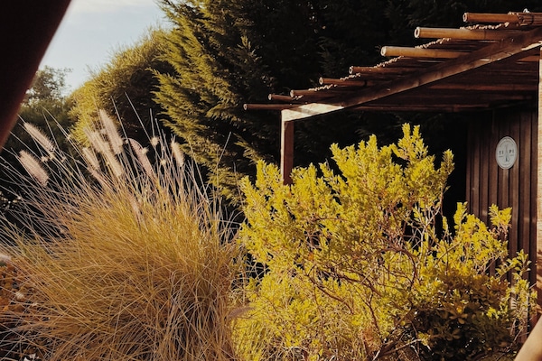 Tent, uitzicht op tuin | Uitzicht vanuit de kamer