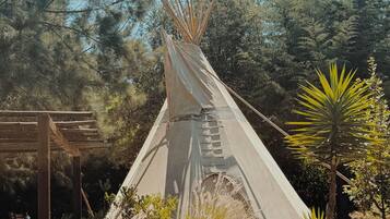 Un tipi con estructura de madera al frente, rodeado de diversas plantas y árboles.