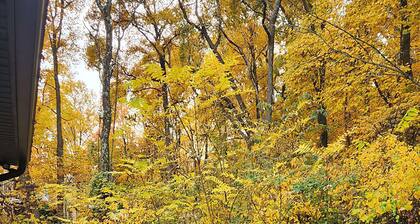 3BR Resort Home w/ Games, Fire pit & Shenandoah Views