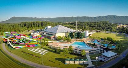 Indoor Waterpark Escape w/ Games & Firepit