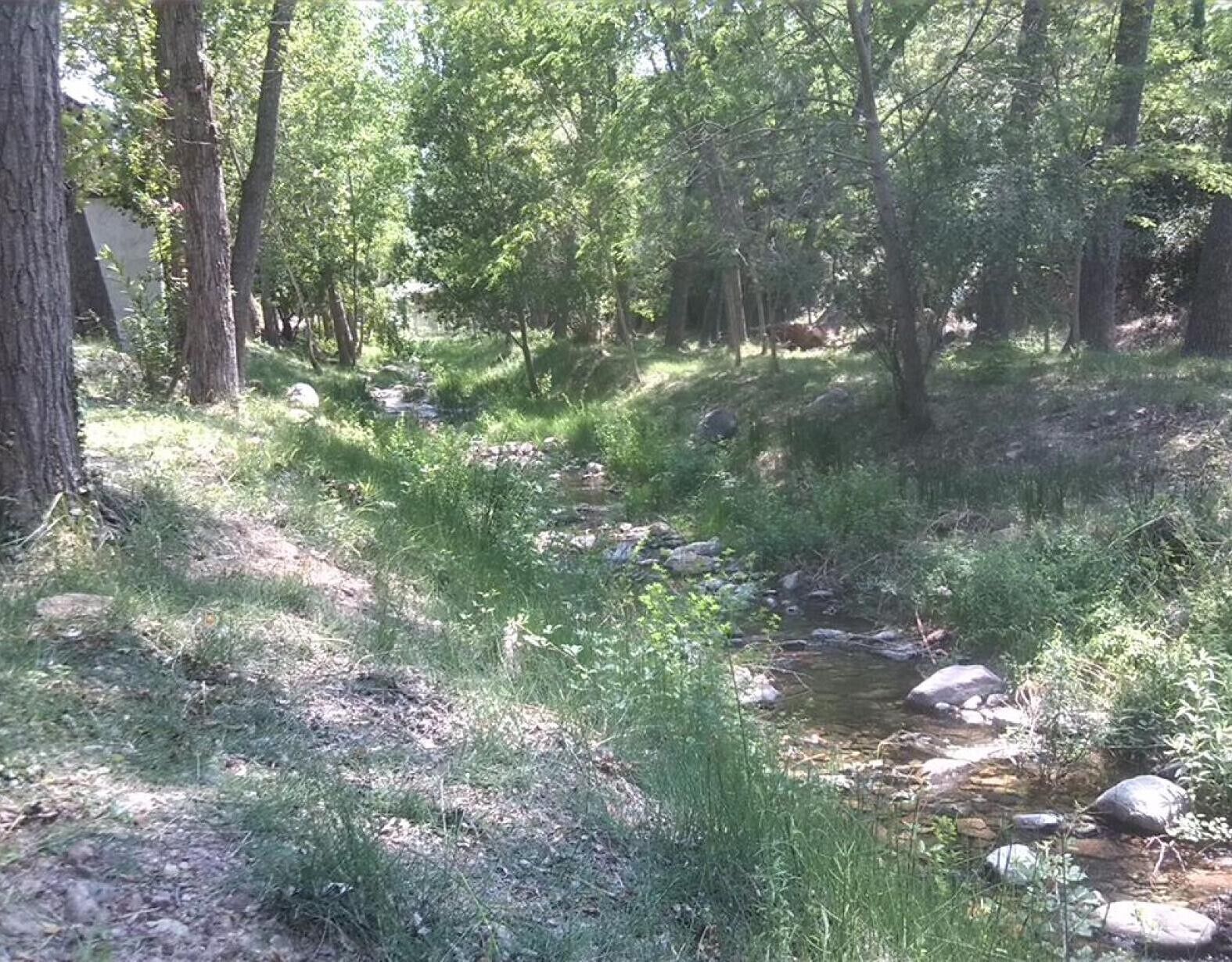 A natural outdoor setting with a stream, trees, and a rocky path.