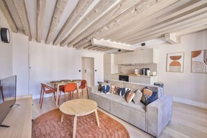 TV - Marais - large 1-bedroom apartment (Paris)