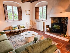 Smart TV, chimenea y libros 