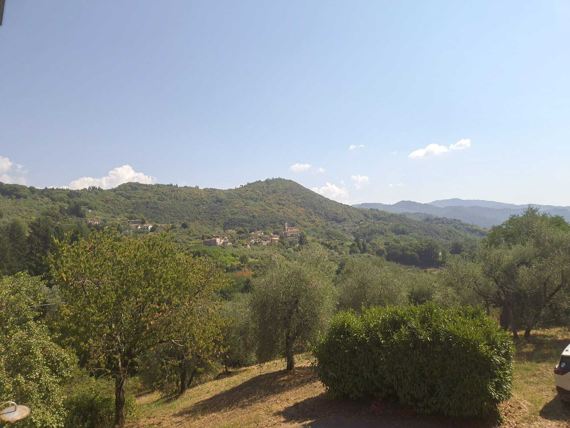 Paisaje rural con olivos y un pueblo lejano.