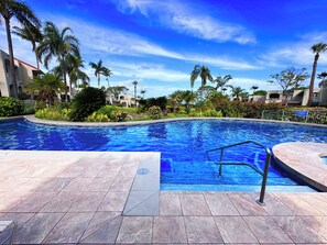 A swimming pool with a clear blue sky, surrounded by palm trees and a well-maintained garden.