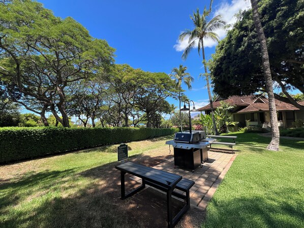 Un espacio exterior bien cuidado con una estación de barbacoa, una mesa de picnic y vistas a una casa de techo rojo.