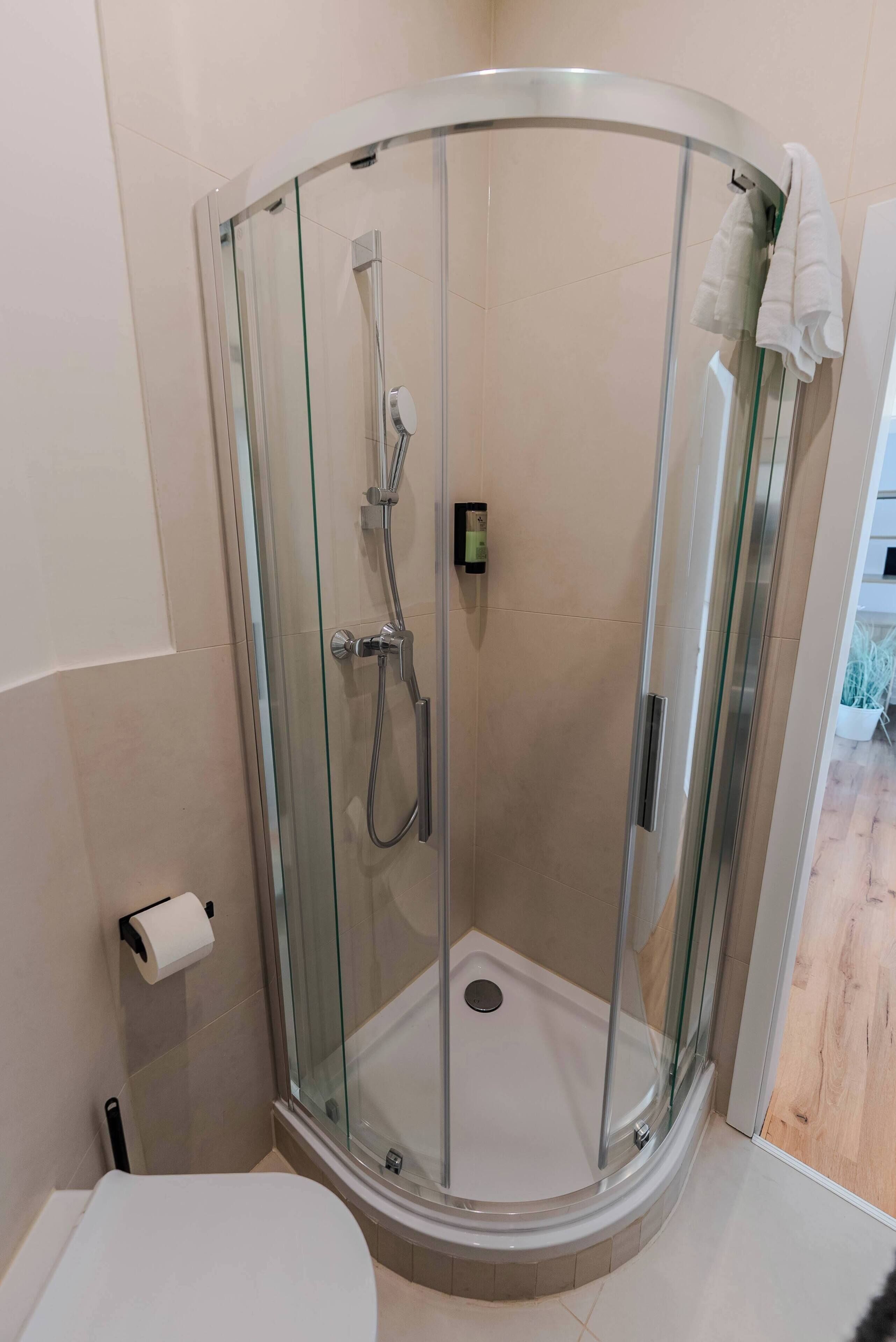 Shower, hair dryer, towels