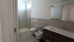 Shower, hair dryer, bidet, towels