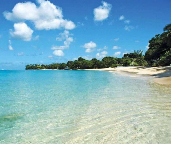 Una playa cerca