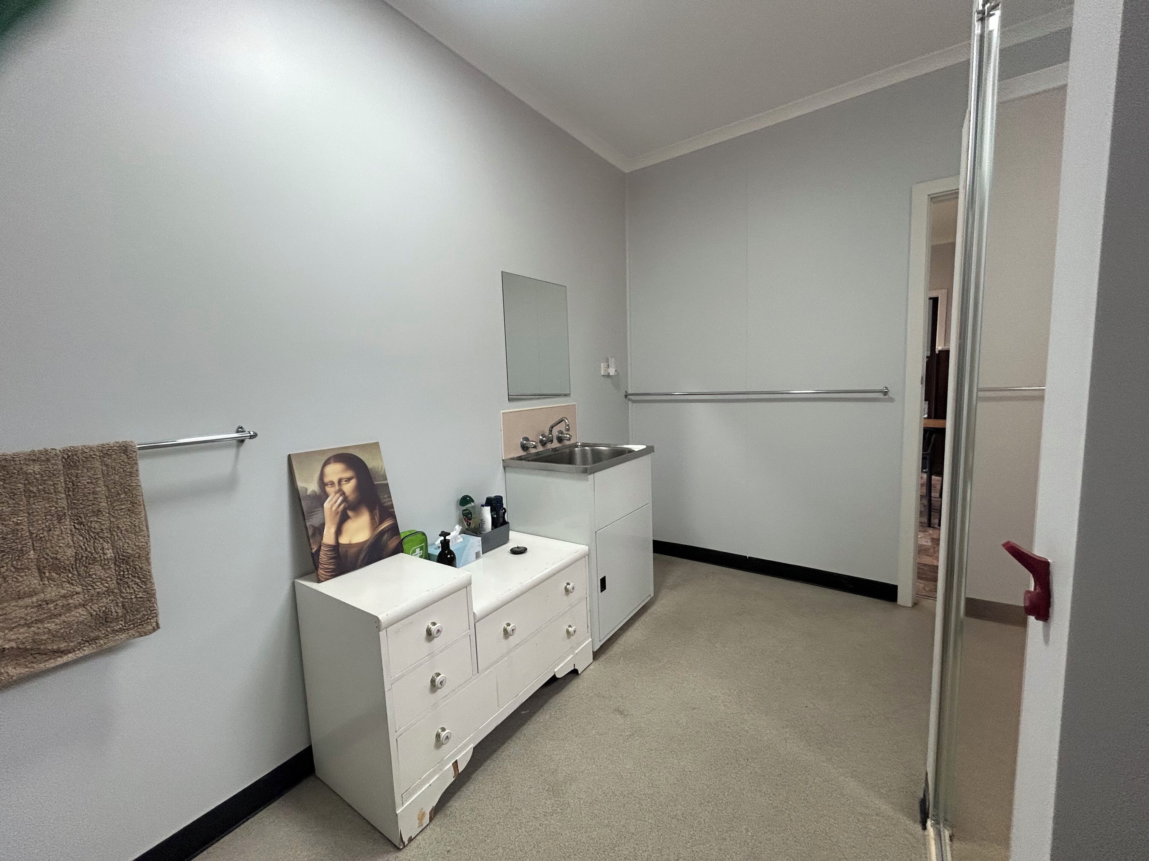 A bathroom with a white vanity, a towel rack, a mirror, and a sink.