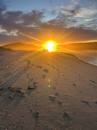 Beach. Bemm River Bungalows #1 “Bellbird Abode” Holiday accommodation