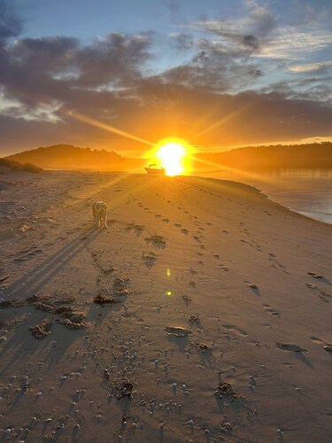Bemm River Bungalows “Bellbird Abode” #1. Holiday accommodation 