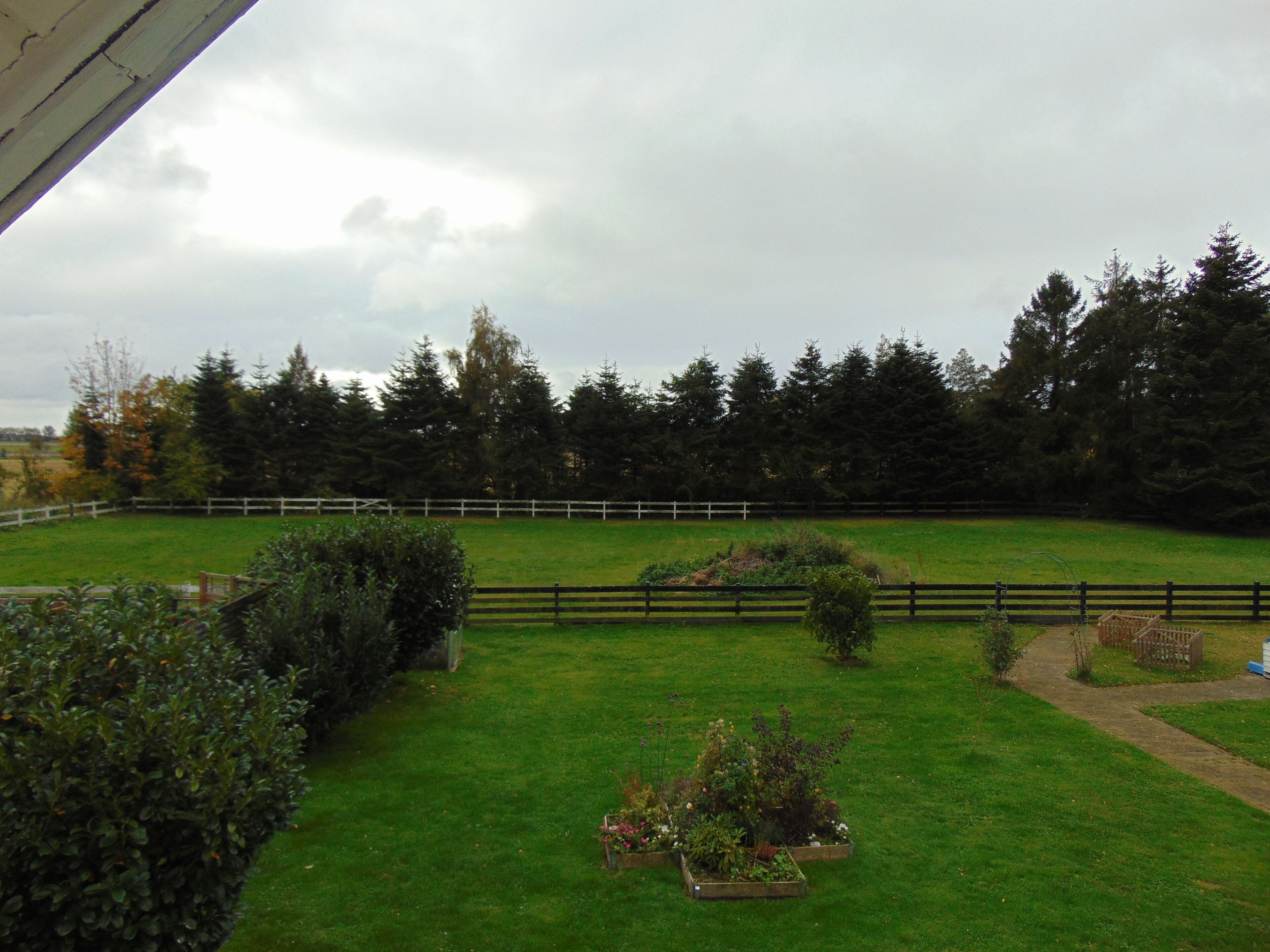 A fenced outdoor area with a grassy field, trees, and a wooden fence.