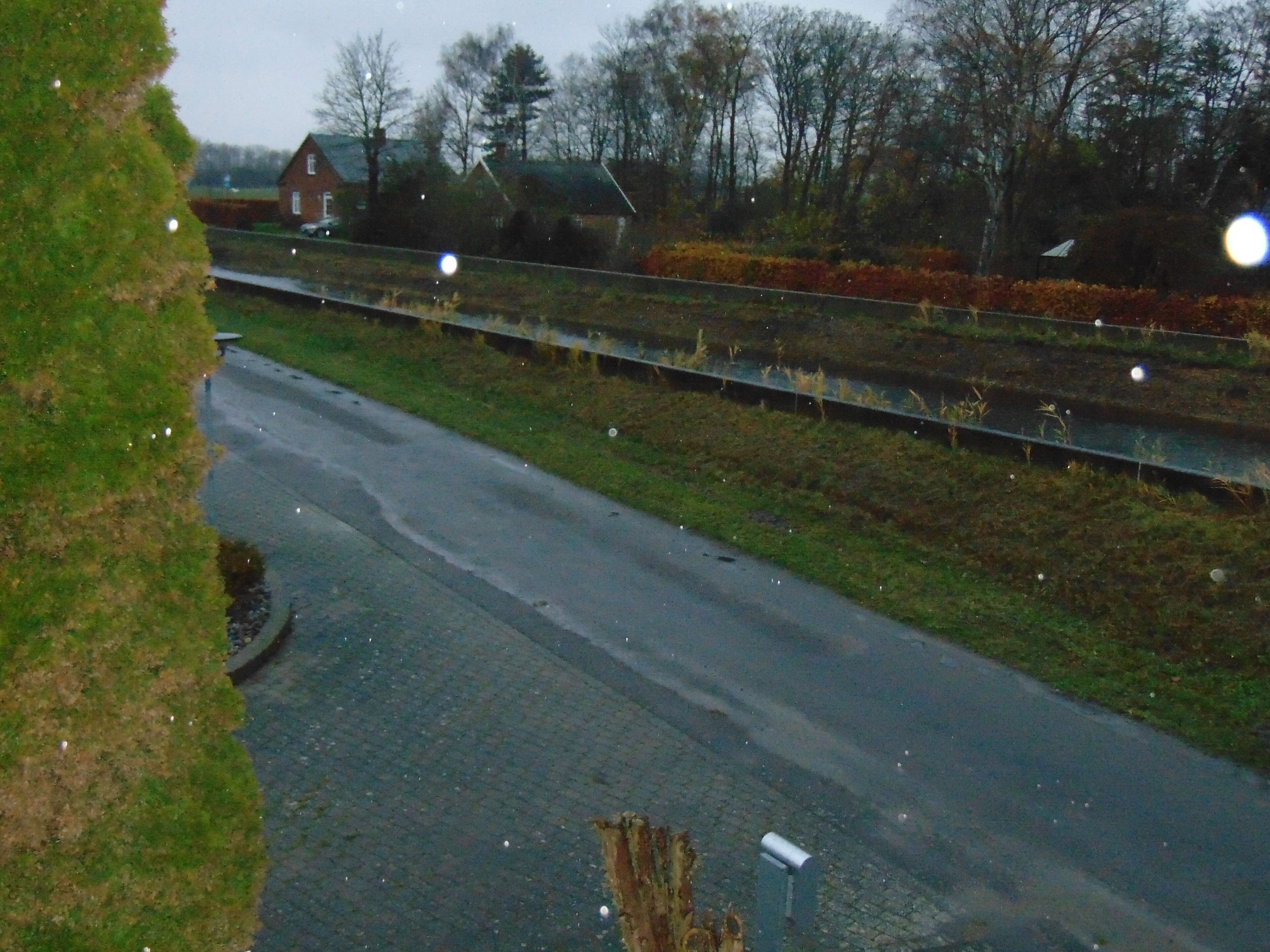 A road with a guardrail, grassy areas, and trees in the background.