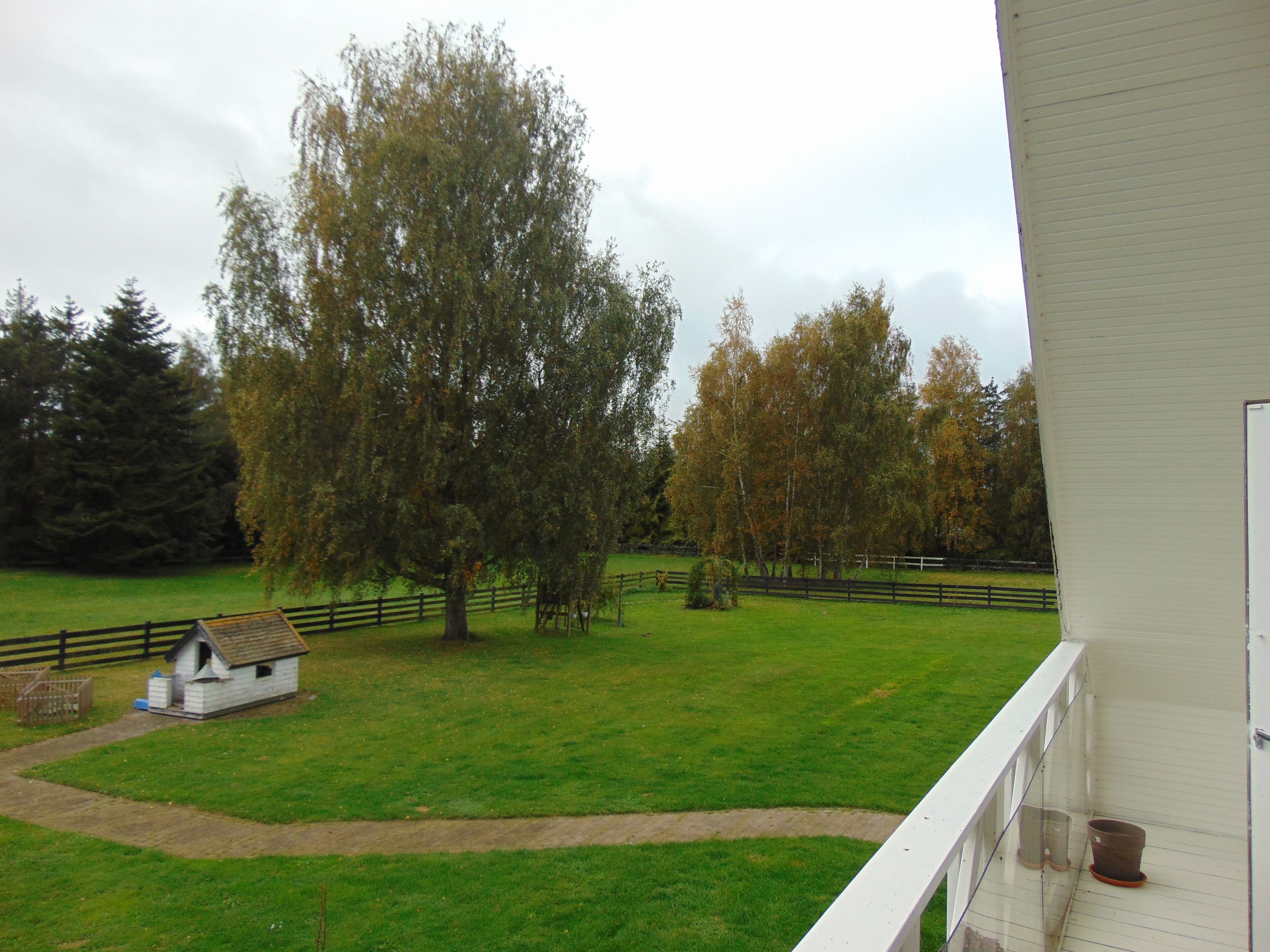 A view from a balcony overlooking a grassy area with a small white building and a large tree.
