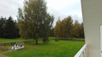 A view from a balcony overlooking a grassy area with a small white building and a large tree.