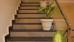 Eine Treppe mit Marmorstufen und weißen Topfpflanzen oben.