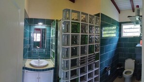 Shower, towels, soap, toilet paper
