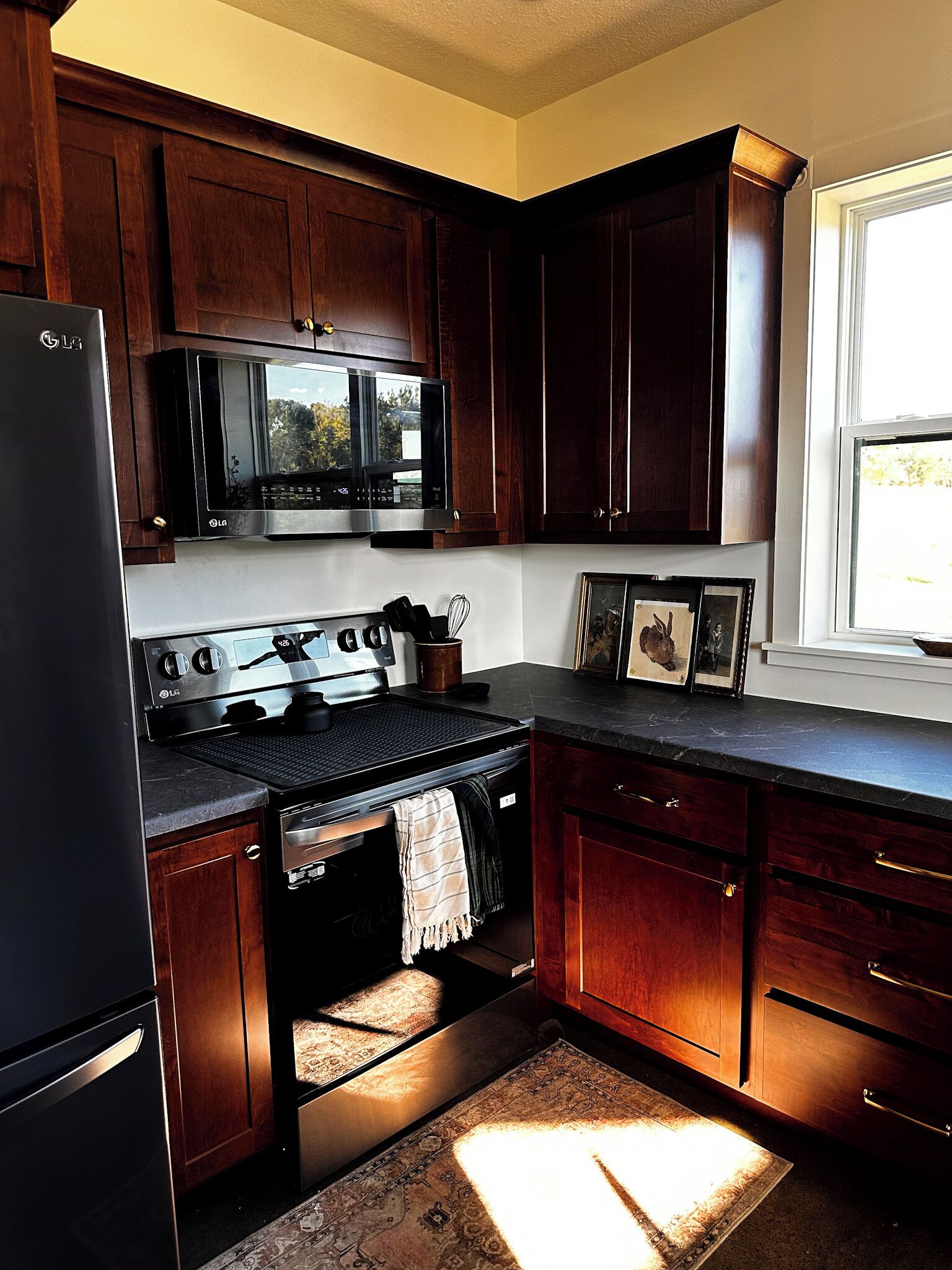 Microwave, oven, stovetop, dishwasher