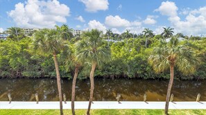 A waterfront promenade with palm trees and a river. - ANC307 (Siesta Key)