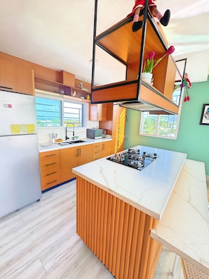 Een koelkast, een microgolfoven, een kookplaat