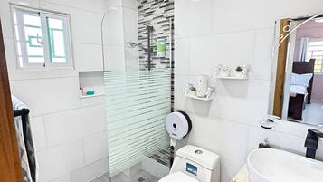 Shower, hair dryer, towels, soap