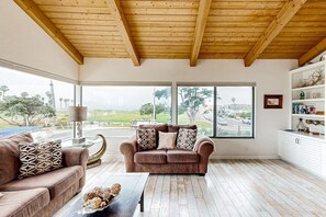 Smart TV, fireplace, DVD player, books