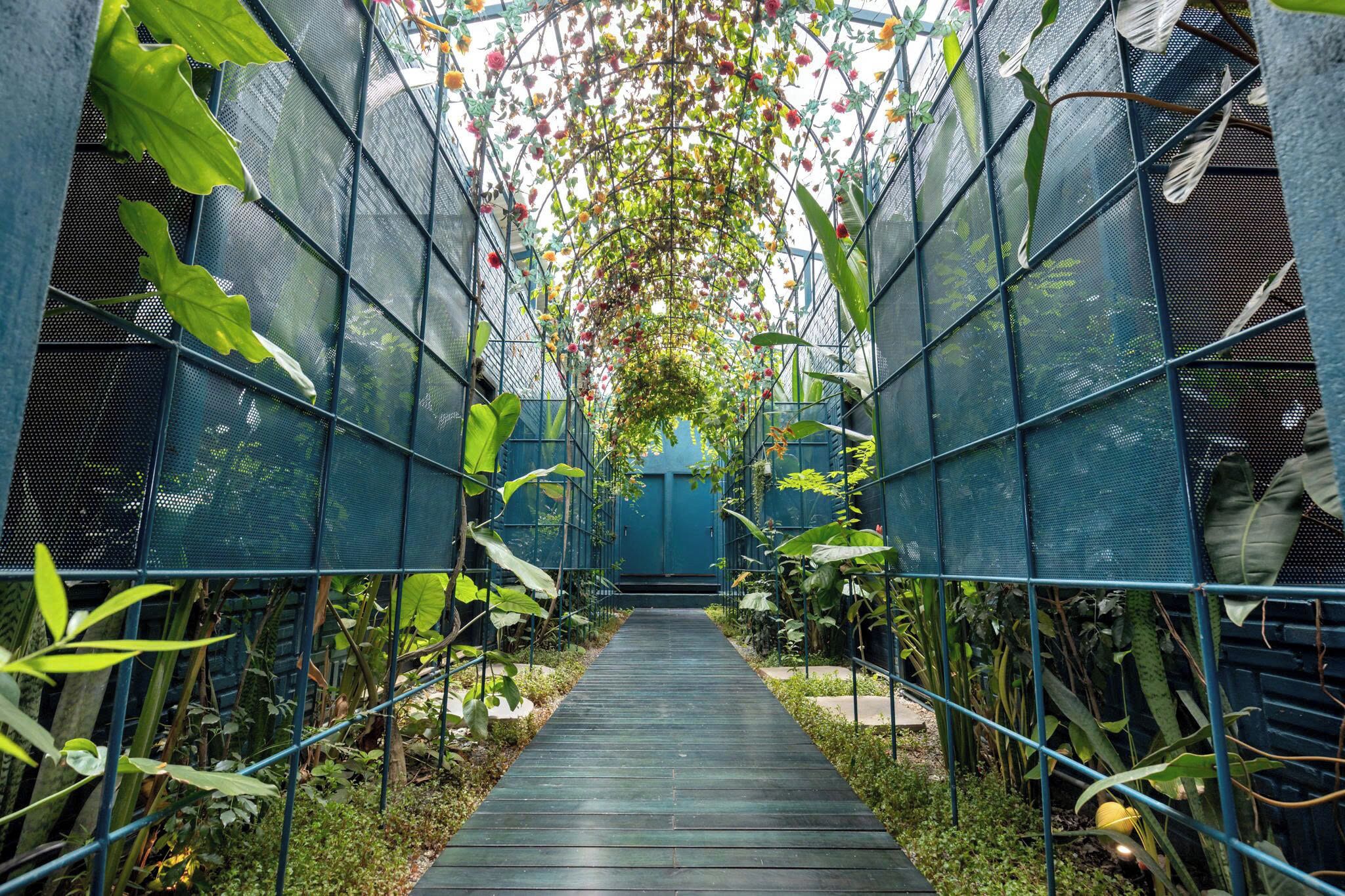 A narrow pathway flanked by metal mesh walls with plants growing through them, leading to a blue door.