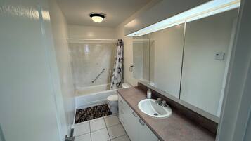 Hair dryer, towels, soap, shampoo