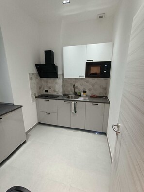 普通開放式客房 | 私人廚房 | 小冰箱