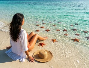 Una persona sentada en la playa con estrellas de mar en aguas poco profundas.