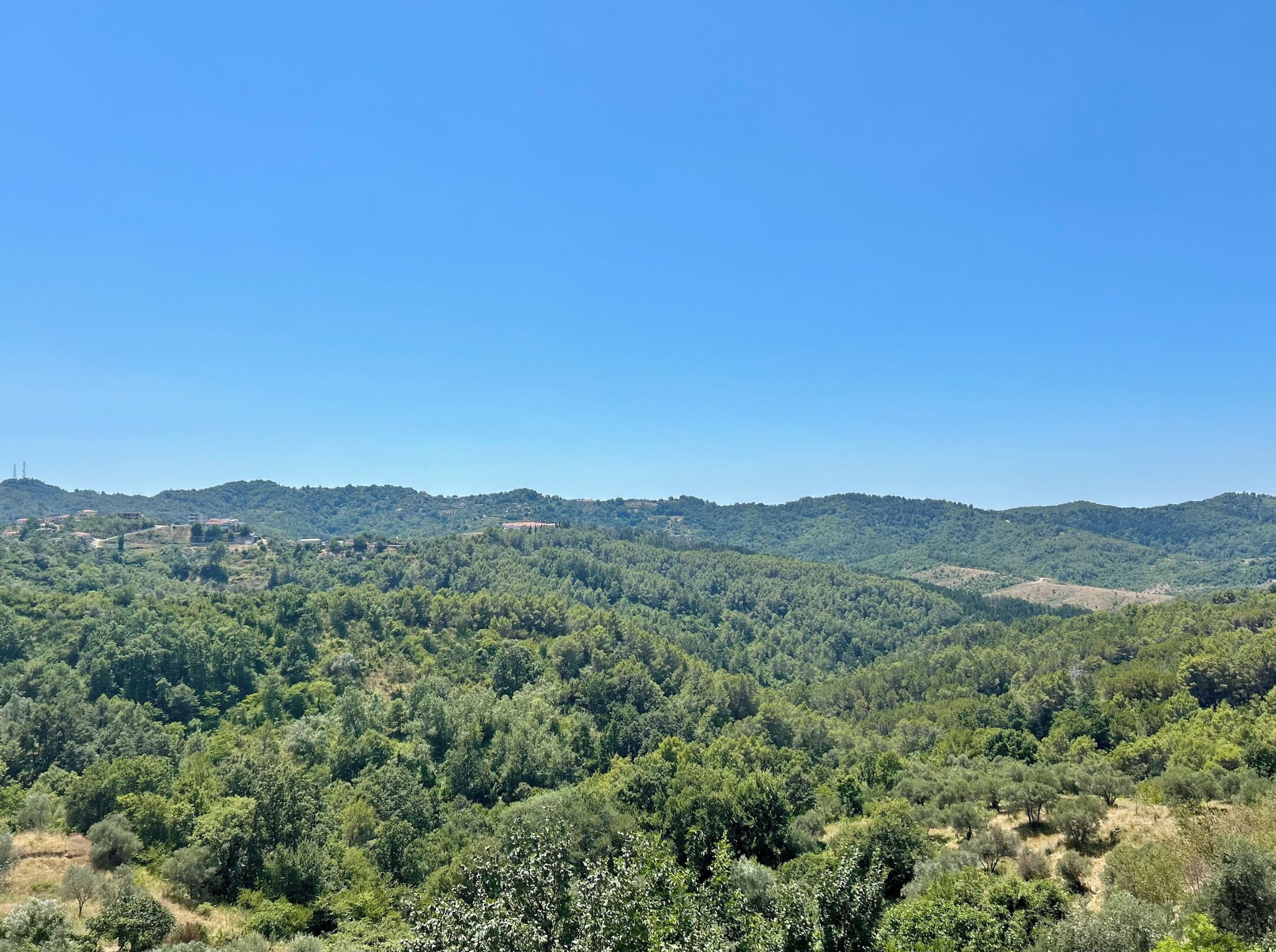 Vista panorámica de una zona montañosa con abundante vegetación y edificios dispersos.
