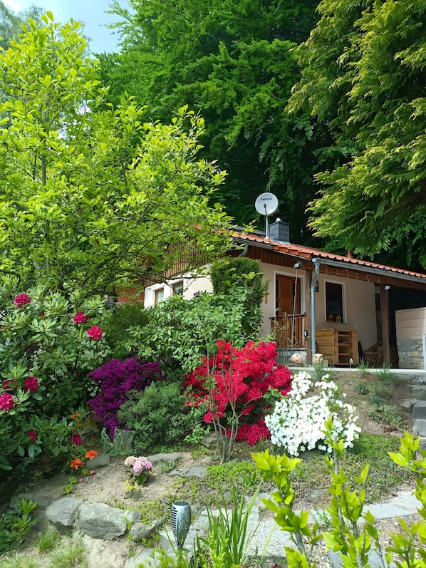 A house with a satellite dish, surrounded by a garden with various plants and flowers.