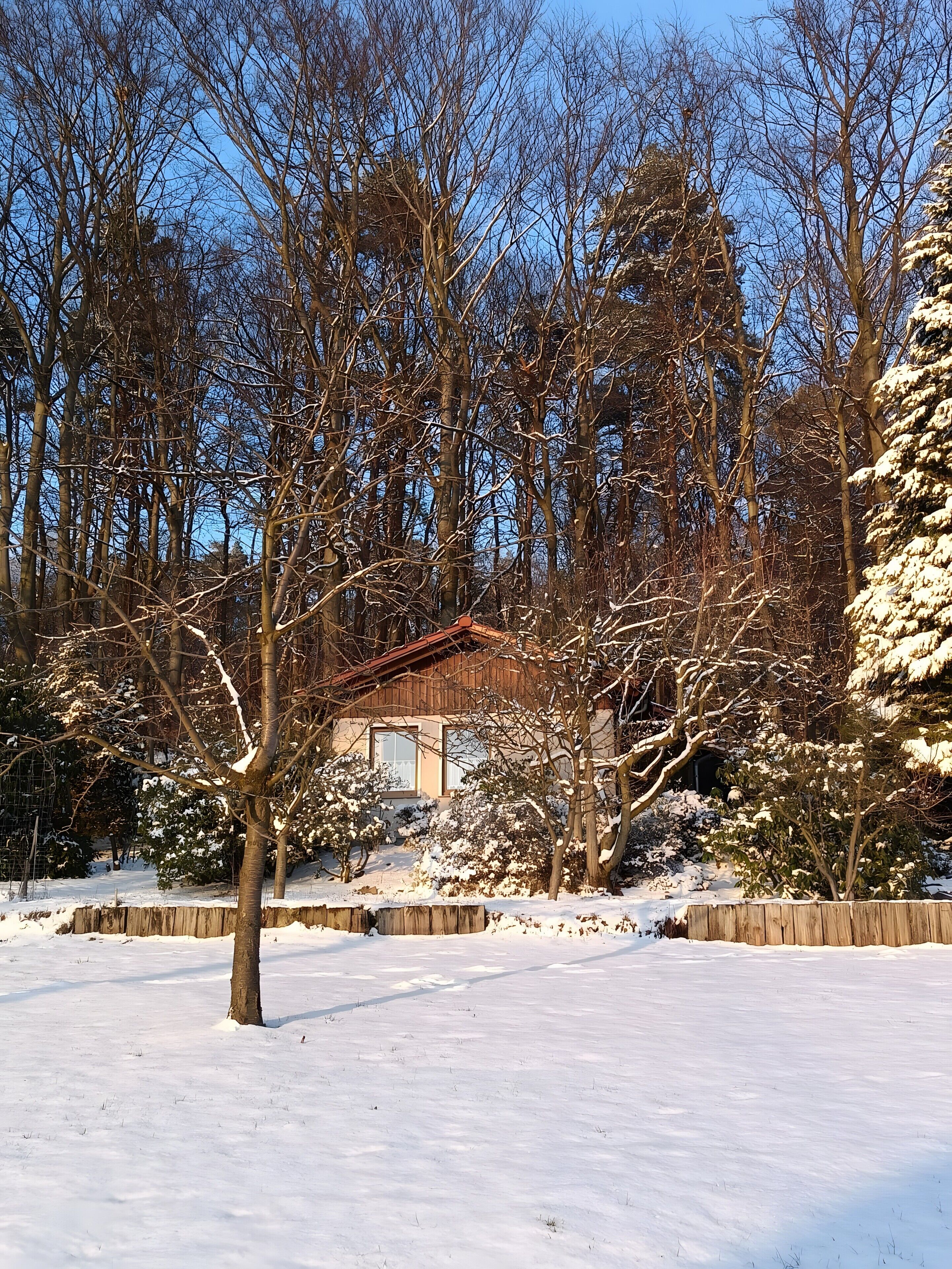 A snow-covered landscape with a wooden cabin and leafless trees.
