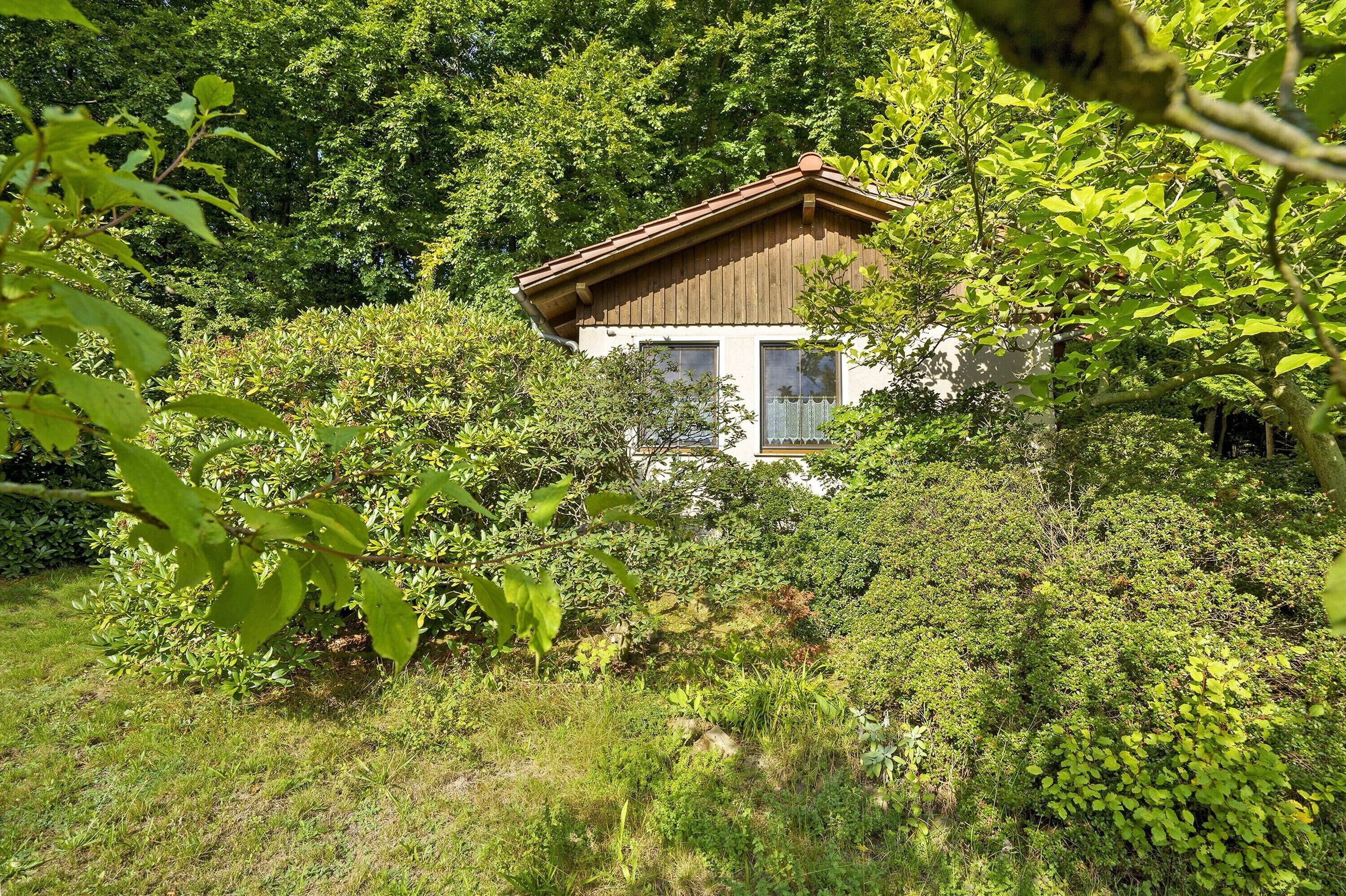 A house surrounded by dense greenery.