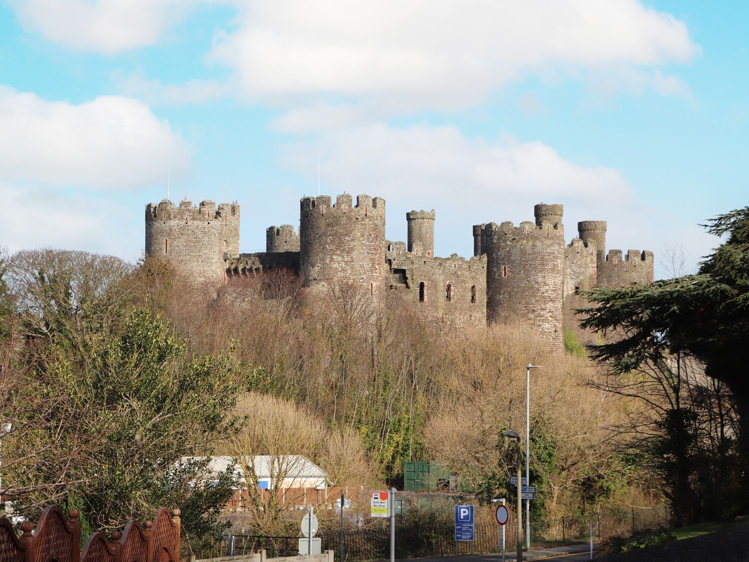 Eine historische Burg mit mehreren Türmen und einer befestigten Mauer, umgeben von Bäumen und einer gepflasterten Straße mit Parkschildern.