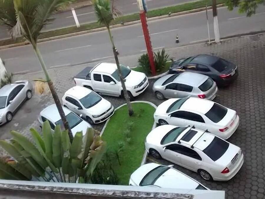 Um estacionamento com vários carros brancos estacionados em fileiras, cercado por palmeiras e um calçadão pavimentado.
