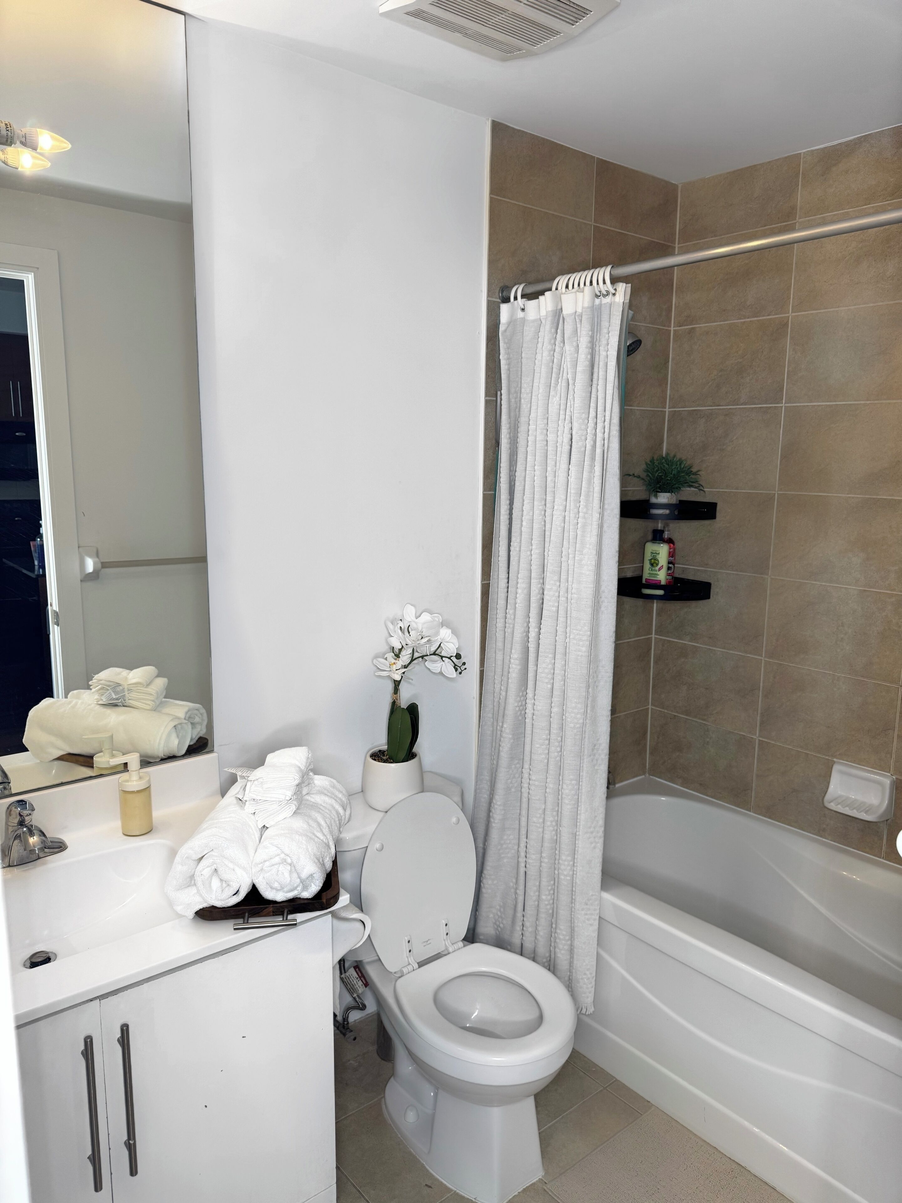 吹风机、毛巾、肥皂、卫生纸