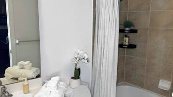 Hair dryer, towels, soap, toilet paper