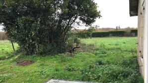 Eine Holzterrasse führt zu einer grünen Fläche mit einem großen Baum und einer Hecke im Hintergrund.